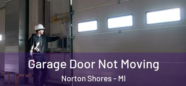  Garage Door Not Moving Norton Shores - MI