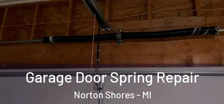  Garage Door Spring Repair Norton Shores - MI