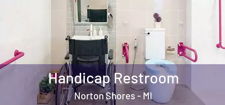 Handicap Restroom Norton Shores - MI