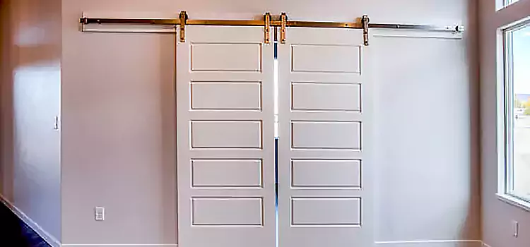 Glass Barn Door with Installation Hardware Kit Norton Shores