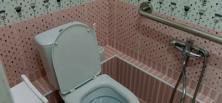 Meeting Diverse Needs With Accessible Restroom Solutions in Norton Shores, MI