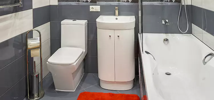 Hansgrohe Shaving Mirror Norton Shores