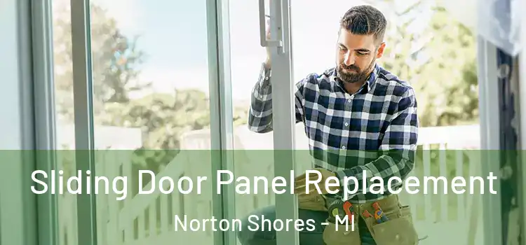  Sliding Door Panel Replacement Norton Shores - MI
